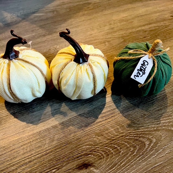 Other - Fall pumpkin decor